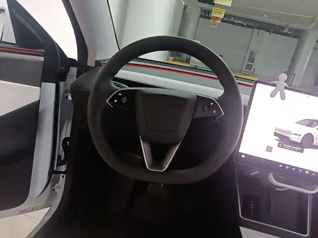 Tesla Model Y — Фото автомобиля 10