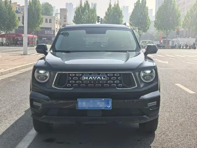 Haval Big Dog — Фото автомобиля 2