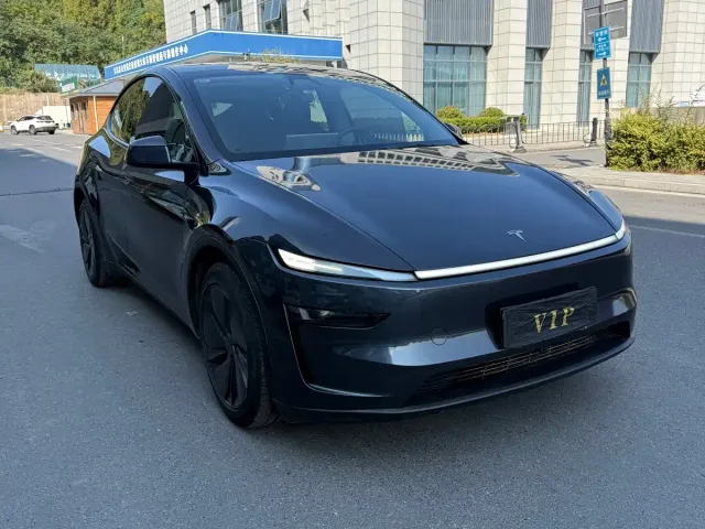 Tesla Model Y — Фото автомобиля 3