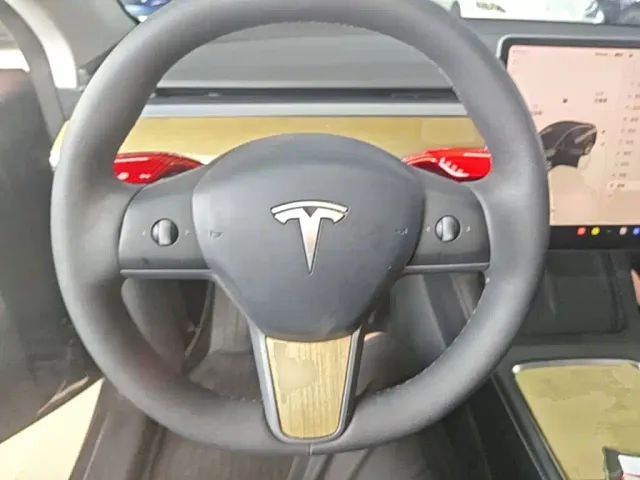 Tesla Model Y — Фото автомобиля 6