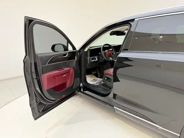 Hongqi Hongqi E-HS9 2021 460km Flagship Comfort 6-seater — Фото автомобиля 13