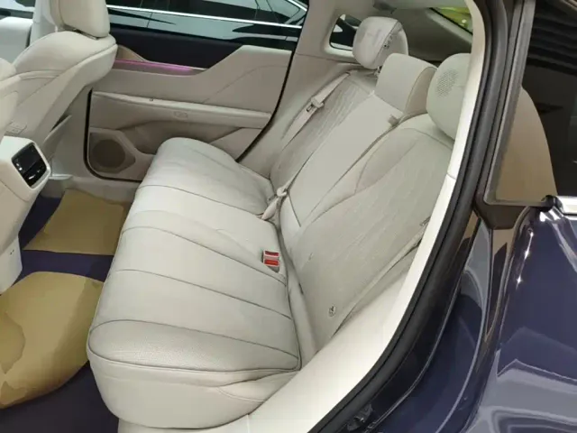 Buick Electra L7 — Фото автомобиля 16