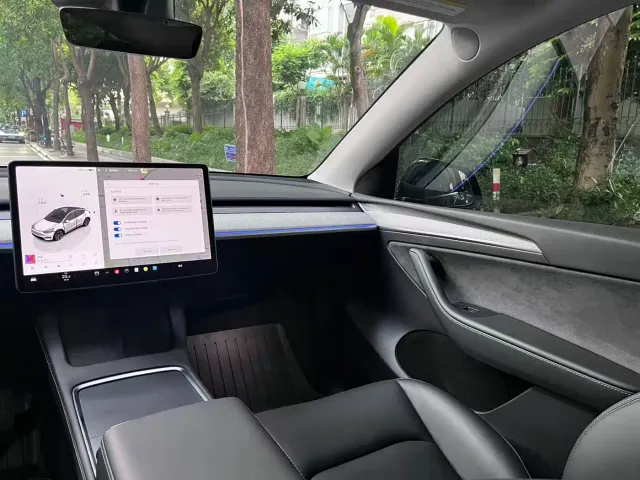 Tesla Model Y — Фото автомобиля 10