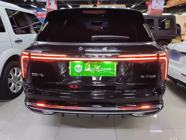Hongqi E-HS9 — Фото автомобиля 5