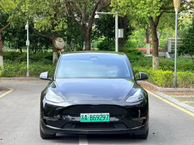 Tesla Model Y — Фото автомобиля 2
