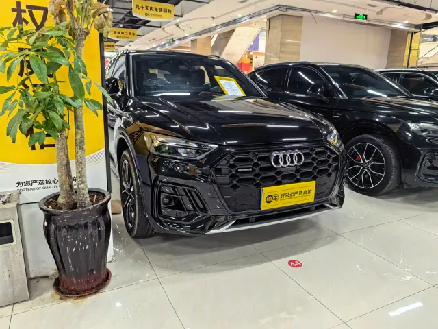 Audi Q5L — Фото автомобиля 3