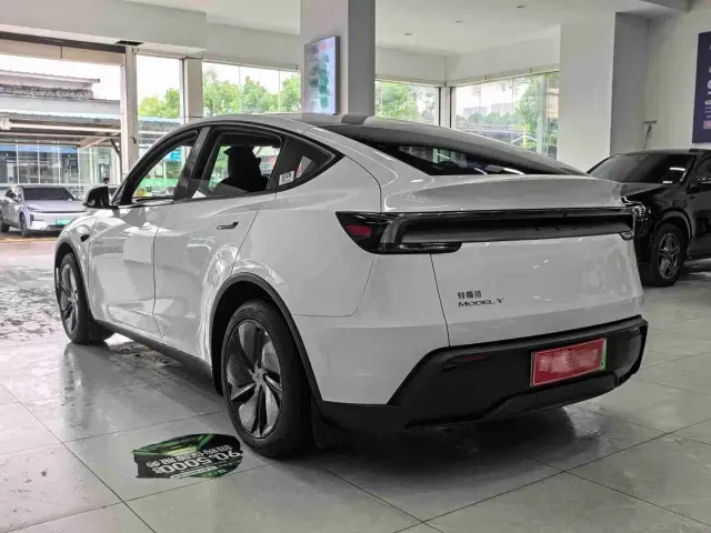Tesla Model Y — Фото автомобиля 10