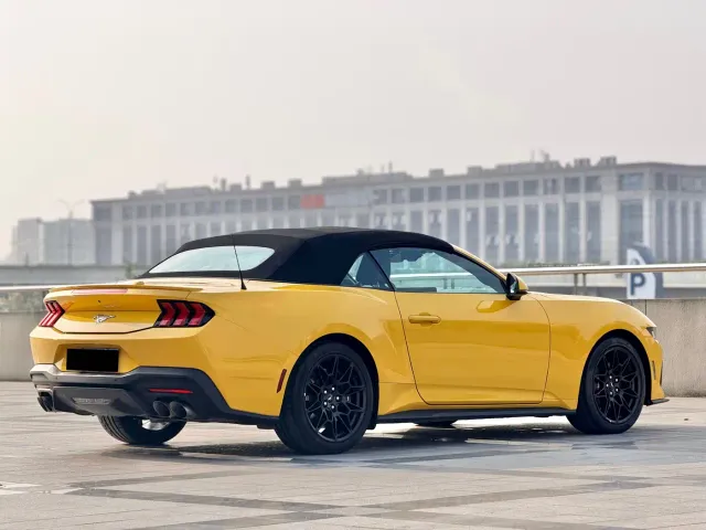 Ford Mustang — Фото автомобиля 13