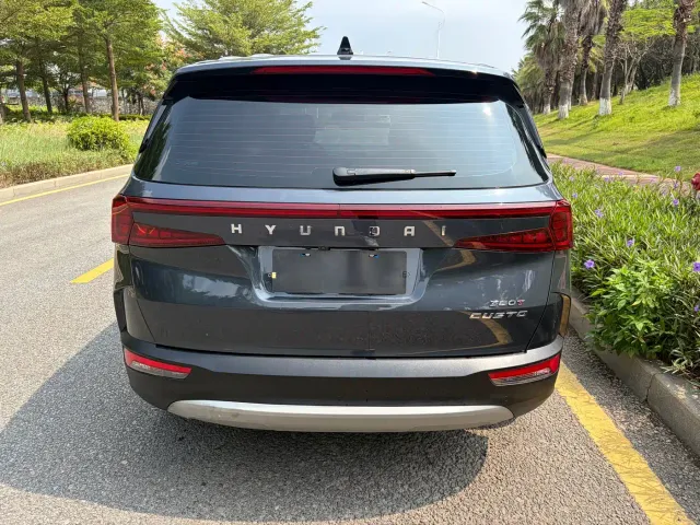 Hyundai Custo — Фото автомобиля 17