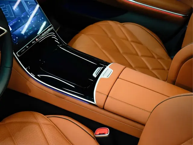Mercedes-Benz Maybach S-Class — Фото автомобиля 19