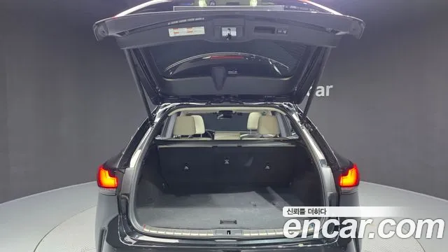 Lexus RX — Фото автомобиля 19