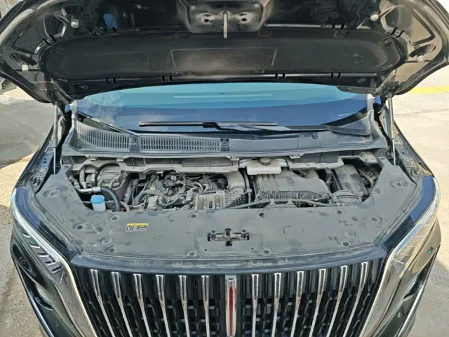 Hongqi HQ9 PHEV — Фото автомобиля 19