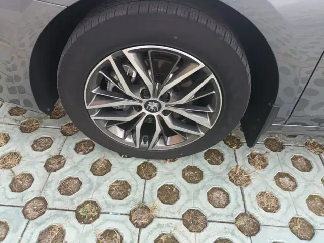 BYD Qin PLUS — Фото автомобиля 22