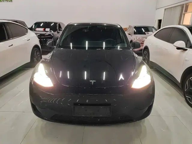 Tesla Model Y — Фото автомобиля 2