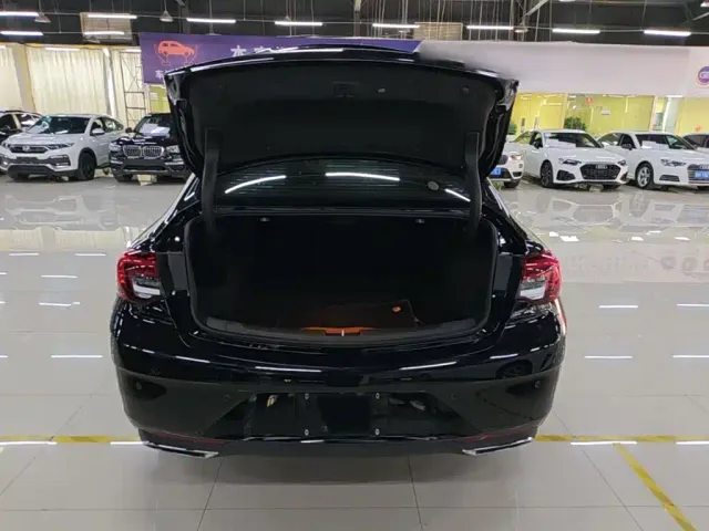 Buick Regal — Фото автомобиля 18