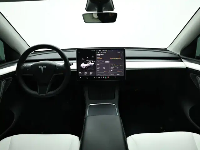 Tesla Model Y — Фото автомобиля 15