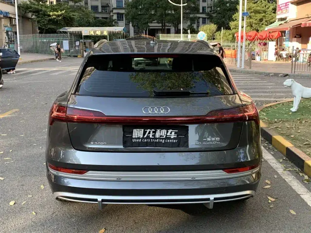 Audi e-tron — Фото автомобиля 7