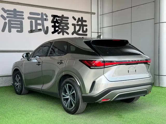 Lexus RX — Фото автомобиля 15