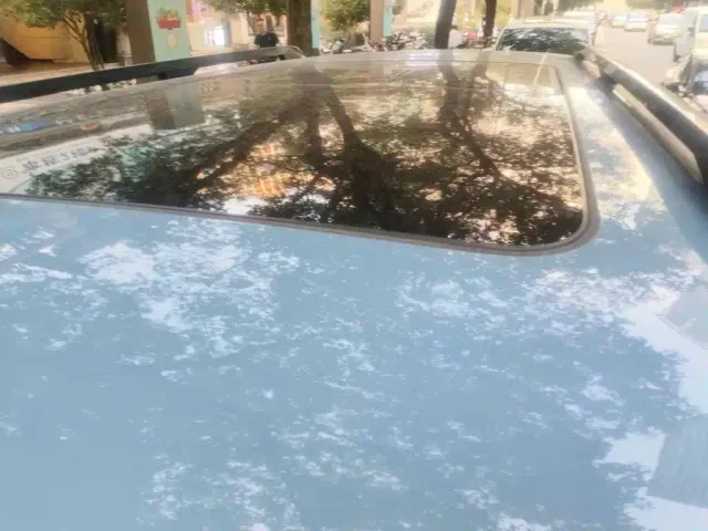 BYD FangChengBao Leopard 5 — Фото автомобиля 6