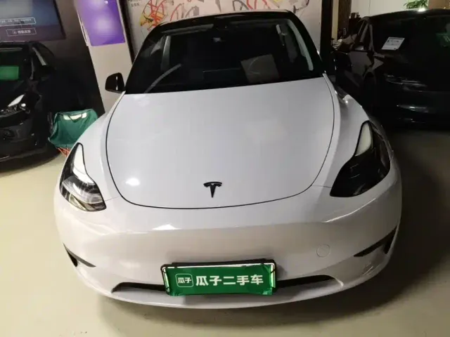 Tesla Model Y — Фото автомобиля 2