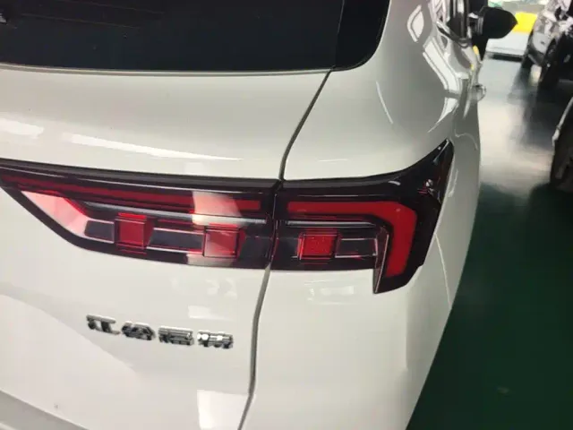 Ford Lingrui — Фото автомобиля 7