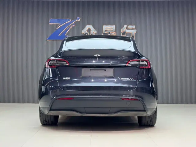 Tesla Model Y — Фото автомобиля 10