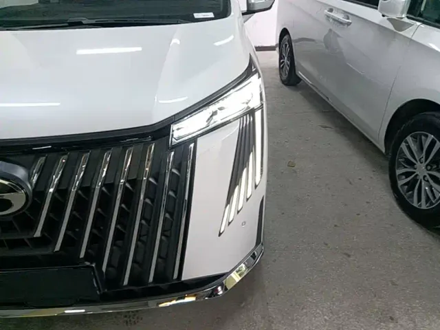 GAC Trumpchi M8 — Фото автомобиля 23