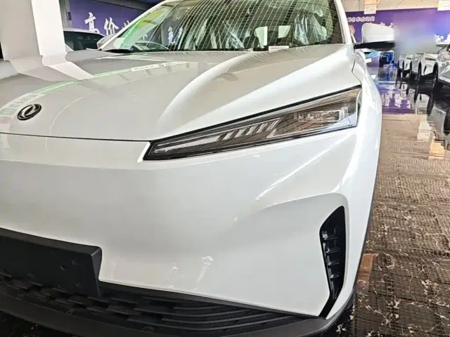 Dongfeng SKY EV01 — Фото автомобиля 17