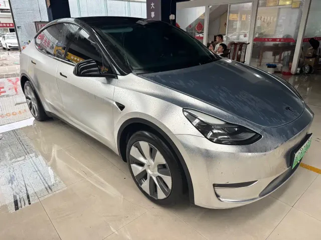 Tesla Model Y — Фото автомобиля 2