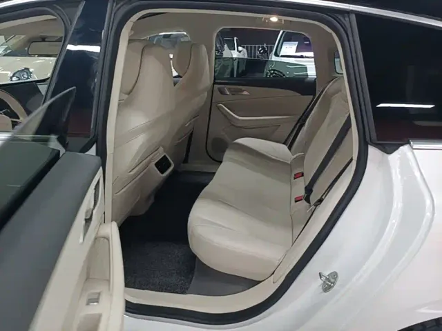 Forthing Xinghai S7 — Фото автомобиля 16