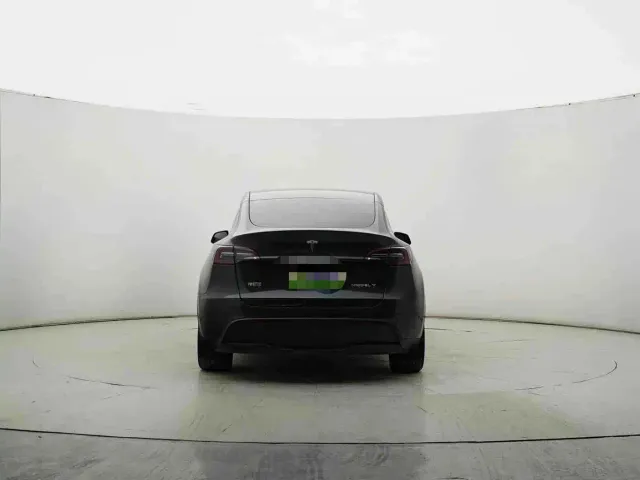 Tesla Model Y — Фото автомобиля 9