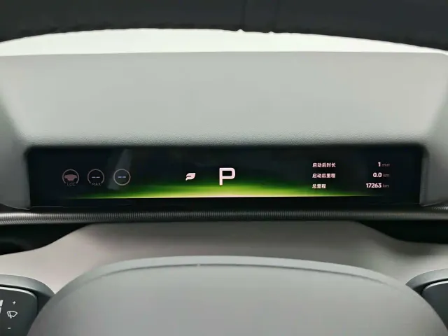 Xpeng P7 — Фото автомобиля 11