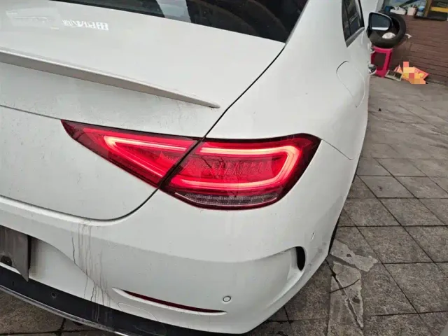 Mercedes-Benz CLS-Class — Фото автомобиля 23