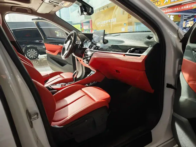 BMW X2 — Фото автомобиля 12