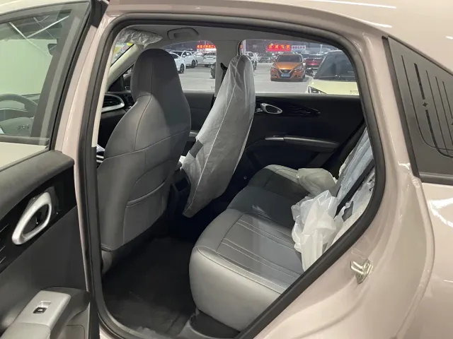 Geely Starry Wish — Фото автомобиля 16