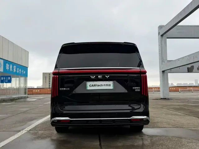Wey Alpine — Фото автомобиля 8