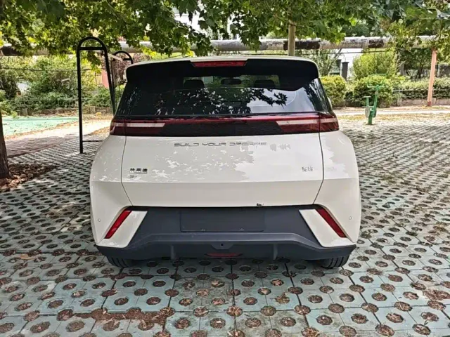 BYD Seagull — Фото автомобиля 5