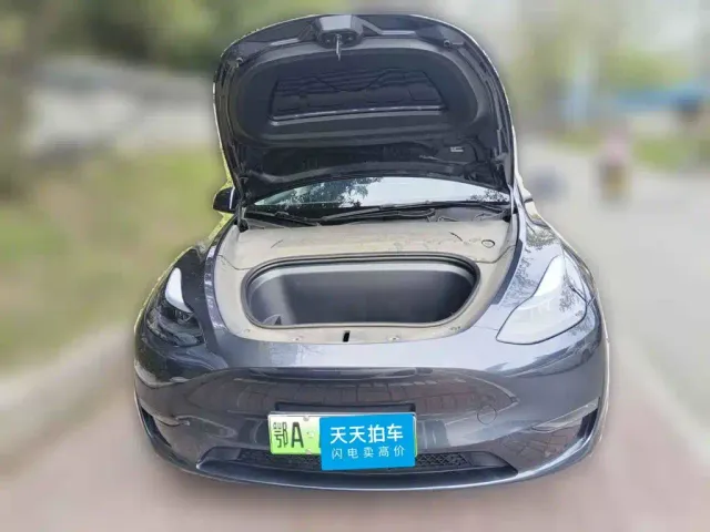 Tesla Model Y — Фото автомобиля 3
