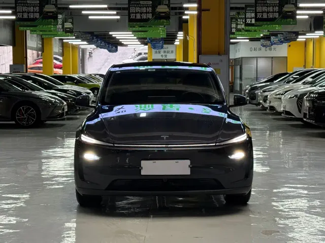 Tesla Model Y — Фото автомобиля 2