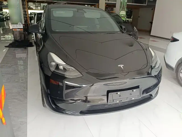 Tesla Model Y — Фото автомобиля 3