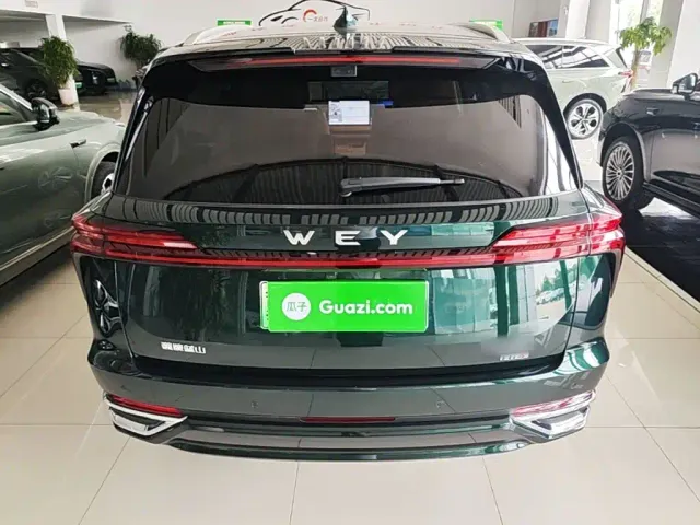 Wey Lanshan — Фото автомобиля 5