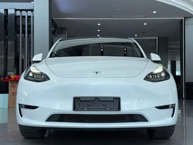 Tesla Model Y — Фото автомобиля 2
