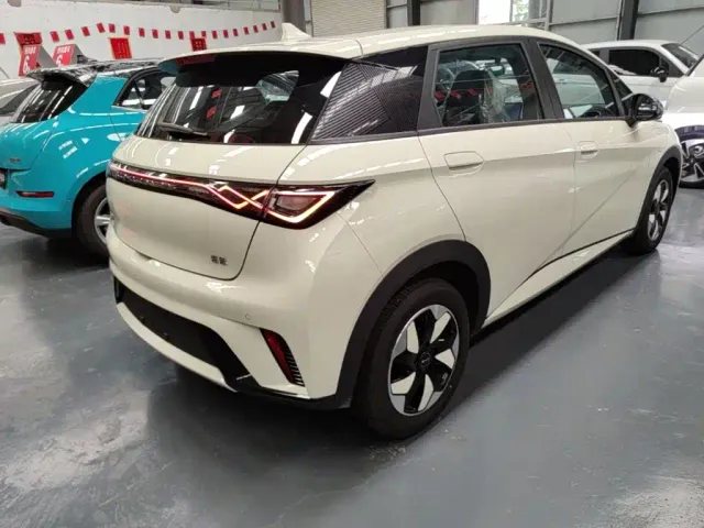 BYD Dolphin — Фото автомобиля 6