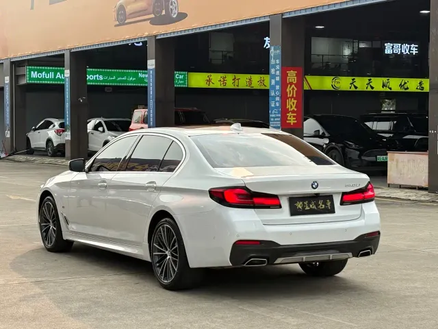 BMW 5 Series — Фото автомобиля 21
