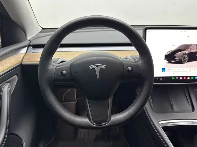 Tesla Model Y — Фото автомобиля 10