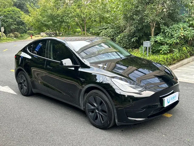 Tesla Model Y — Фото автомобиля 3