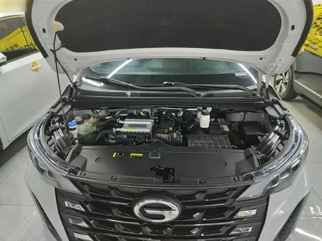 GAC Trumpchi M6 — Фото автомобиля 19
