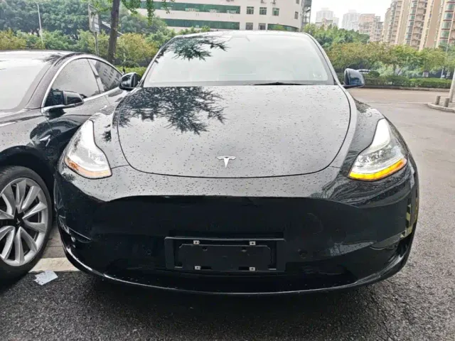 Tesla Model Y — Фото автомобиля 2