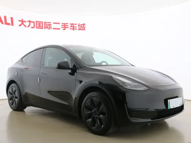 Tesla Model Y — Фото автомобиля 2
