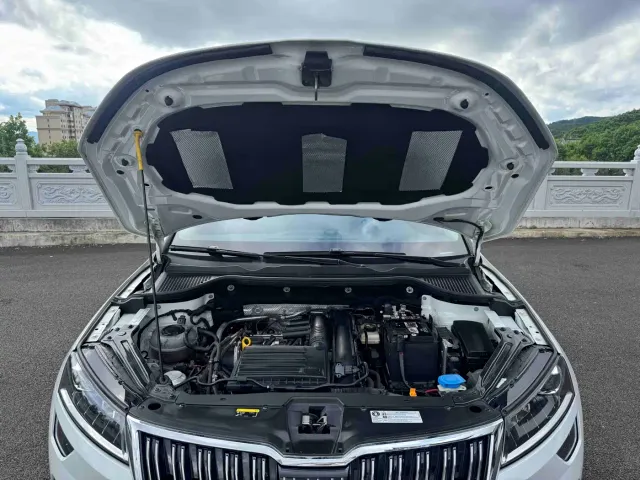 Skoda Karoq — Фото автомобиля 19